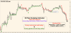 20 pips a day & simple forex scalping strategy