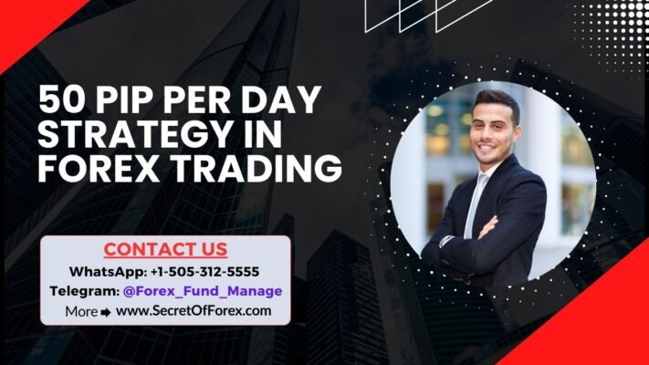 50 Pip Per Day Strategy in Forex Trading