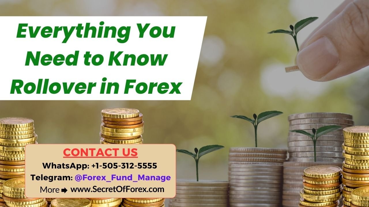Everything You Need to Know Rollover in Forex