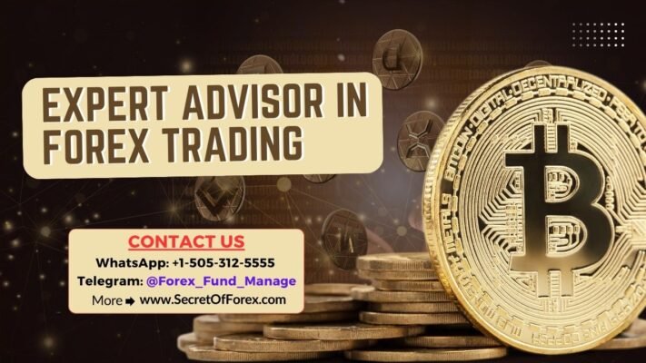 Expert Advisor in Forex Trading