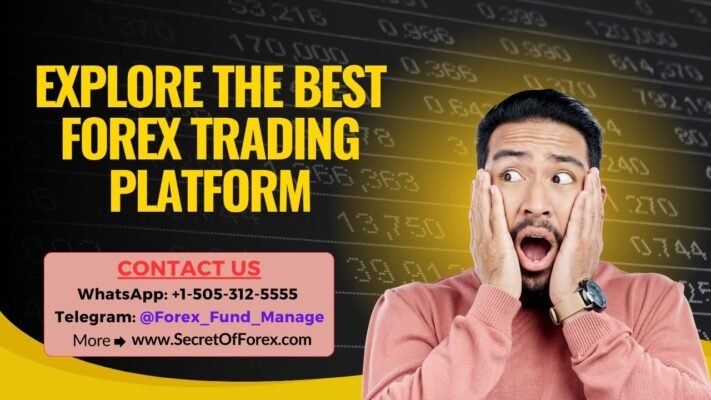 Explore The Best Forex Trading Platform