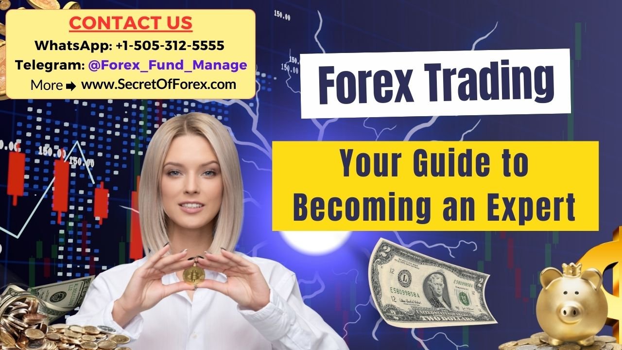 Forex Trading Your Guide to Becoming an Expert