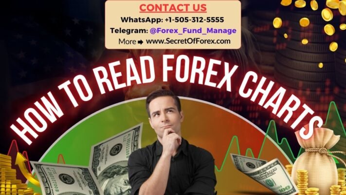How to Read Forex Charts