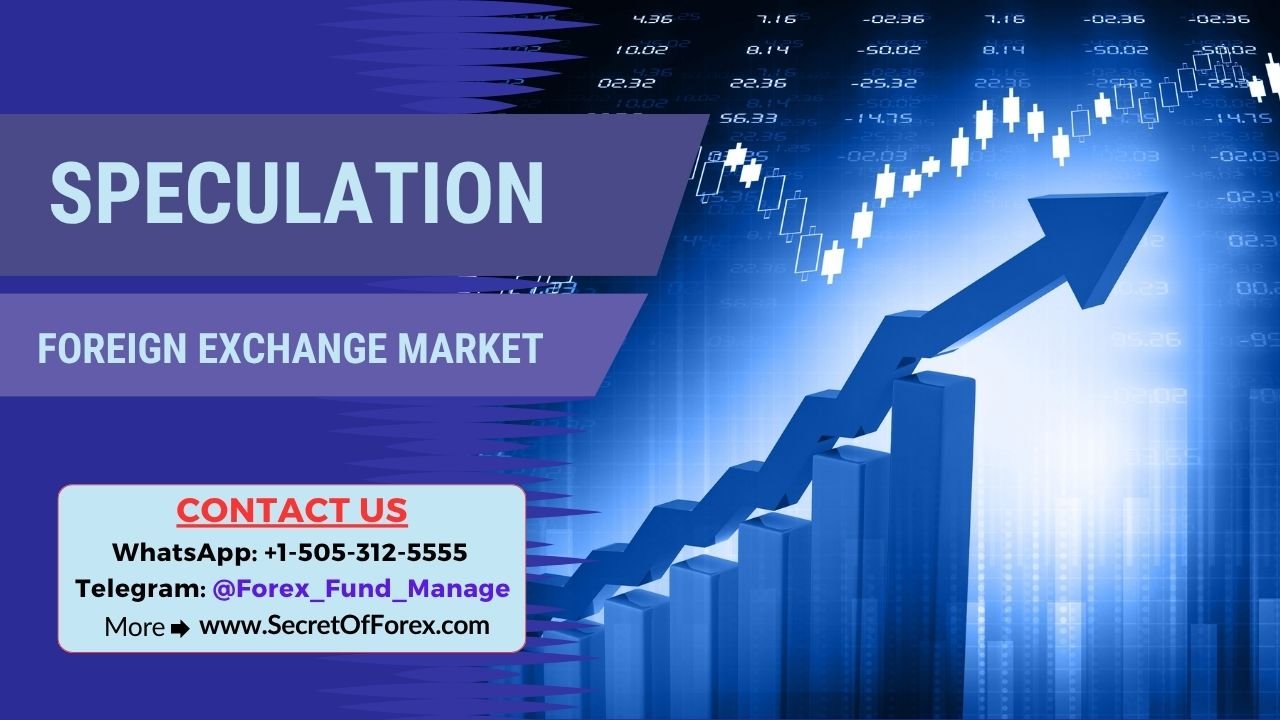Speculation in Foreign Exchange Market
