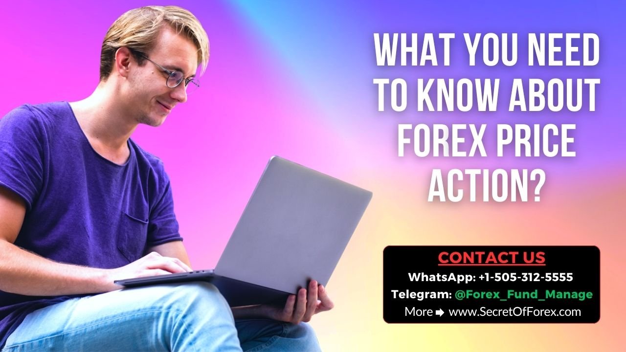 What You Need to Know About Forex Price Action