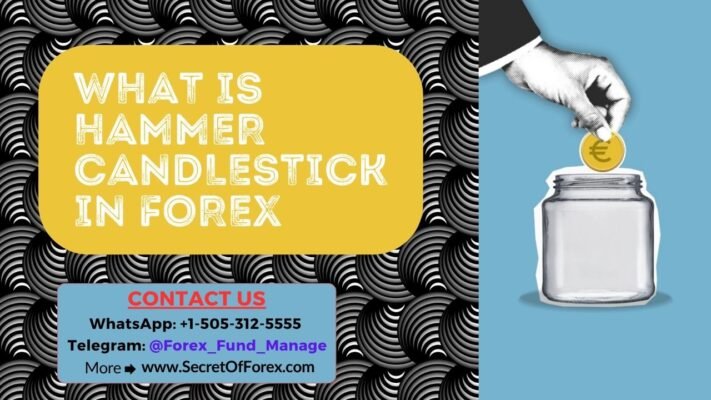 What is Hammer Candlestick in Forex