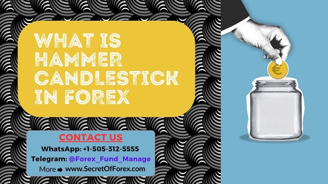 What is Hammer Candlestick in Forex