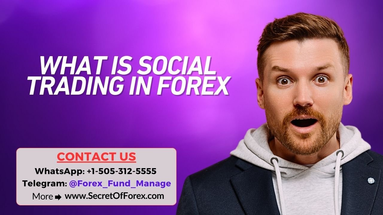 What is Social Trading In Forex