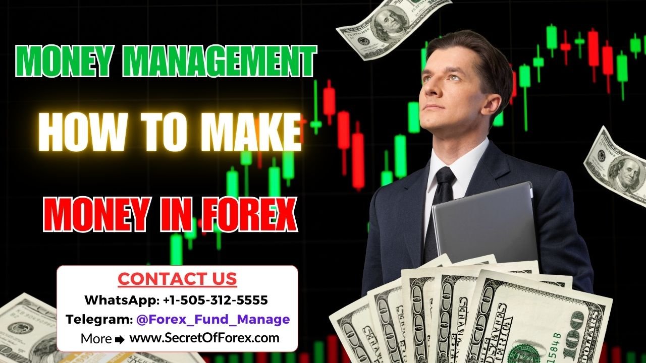 Money Management How To Make Money in Forex
