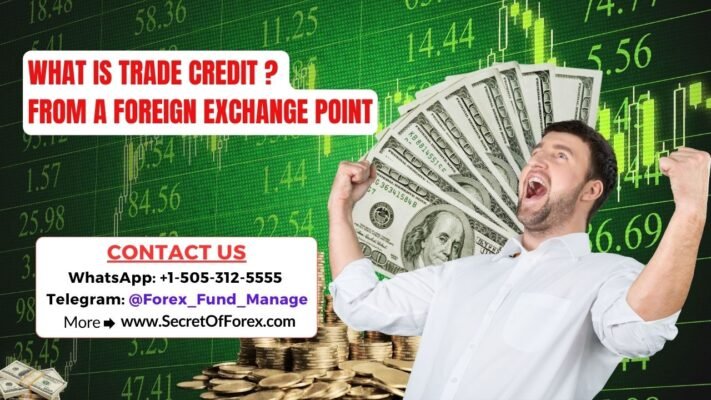 What is Trade Credit From a Foreign Exchange Point