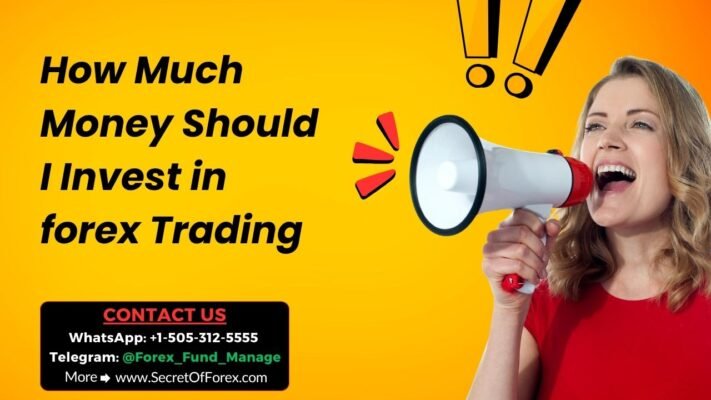 How Much Money Should I Invest in forex Trading
