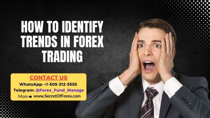 How to Identify Trends in Forex Trading