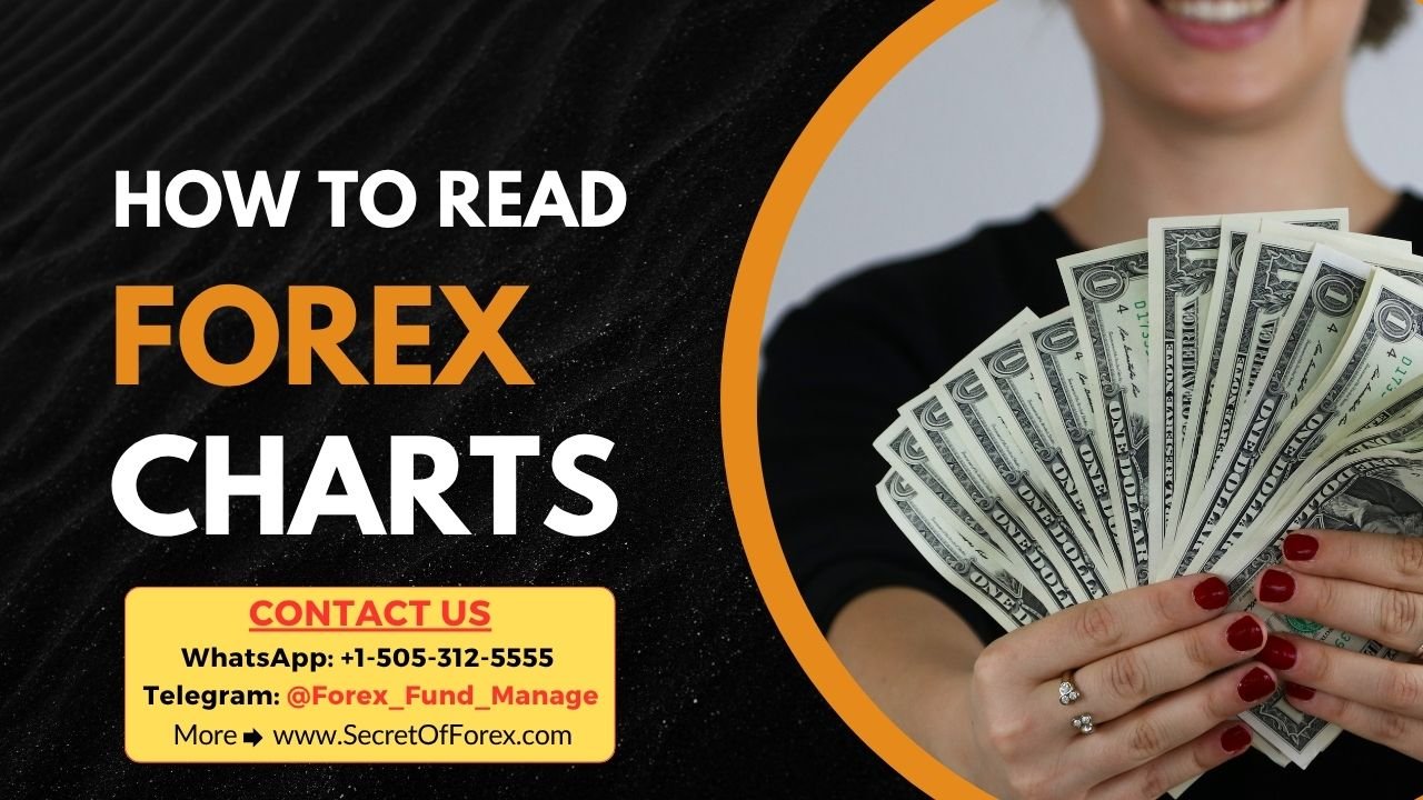 How to Read Forex Charts