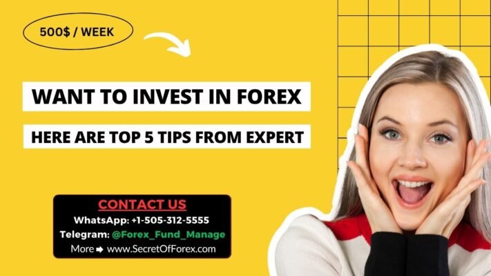 Want to Invest in Forex Here are Top 5 Tips From Expert
