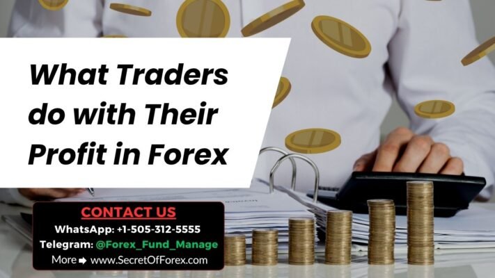 What Traders do with Their Profit in Forex