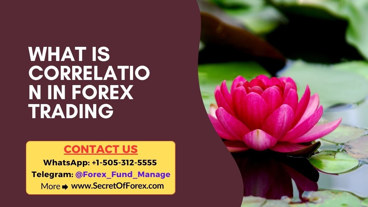 What is Correlation in Forex Trading