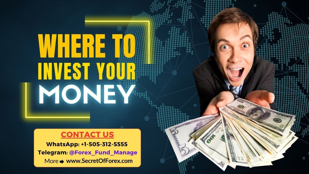 Where to invest your money