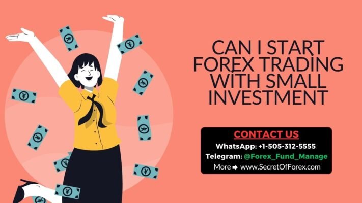 Can I Start Forex Trading with Small Investment