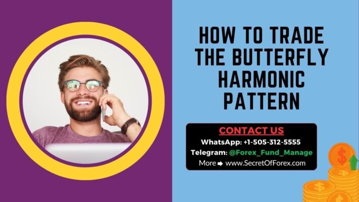 How To Trade the Butterfly Harmonic Pattern