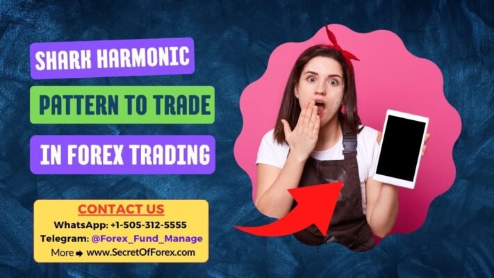 Shark Harmonic Pattern to Trade in Forex Trading