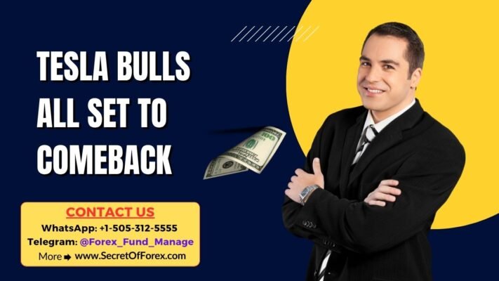 Tesla Bulls all Set to Comeback