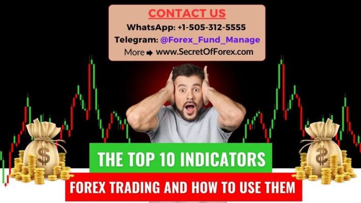 The Top 10 Indicators in Forex Trading and How to Use Them
