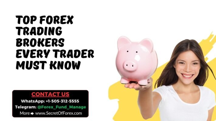 Top Forex Trading Brokers Every Trader Must Know