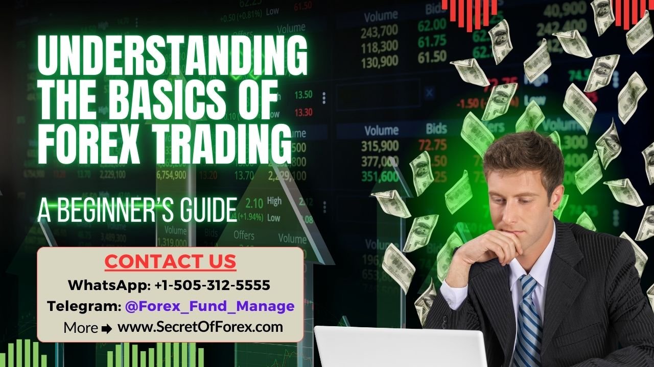 Understanding The Basics Of Forex Trading A Beginner’s Guide