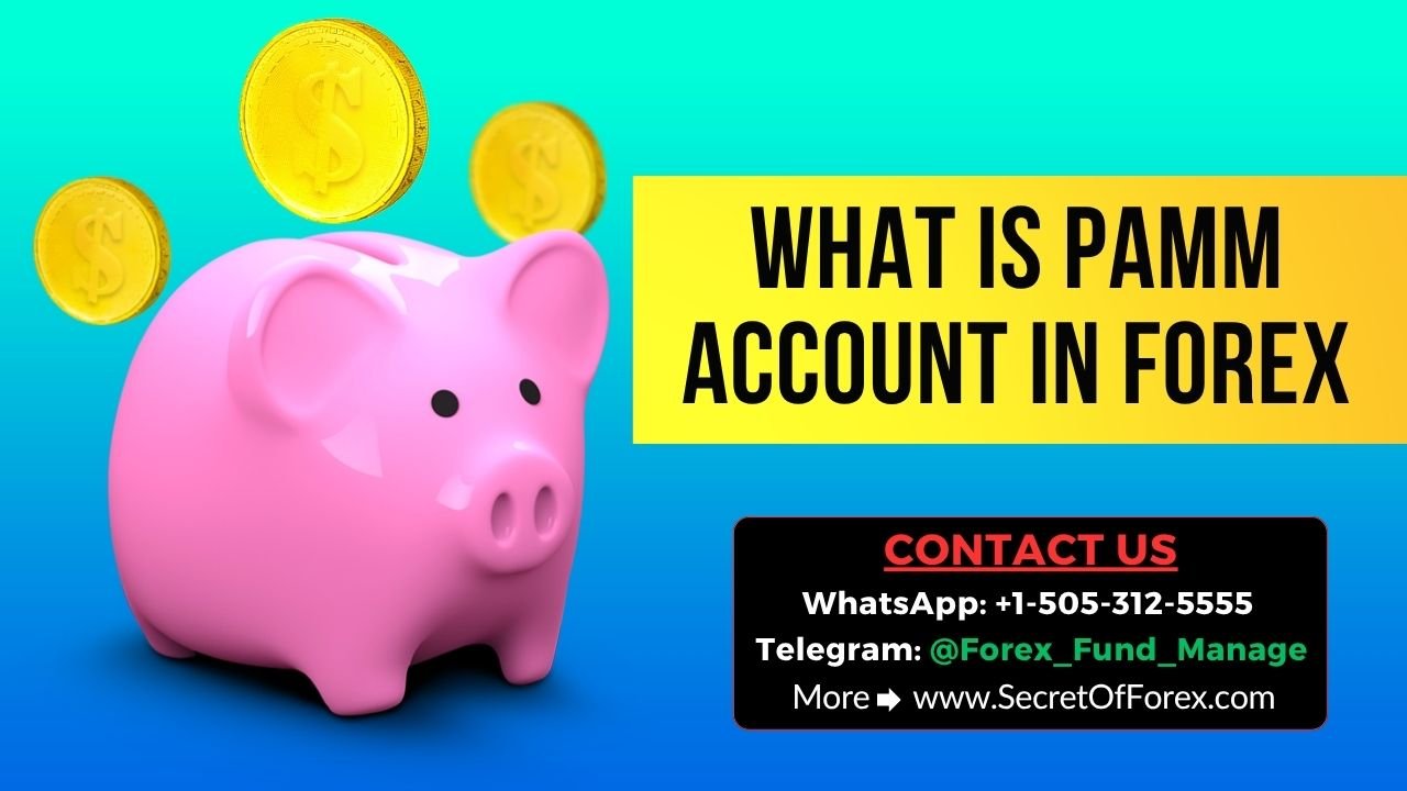 What Is PAMM Account In Forex