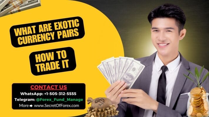 What are Exotic Currency Pairs How to Trade It