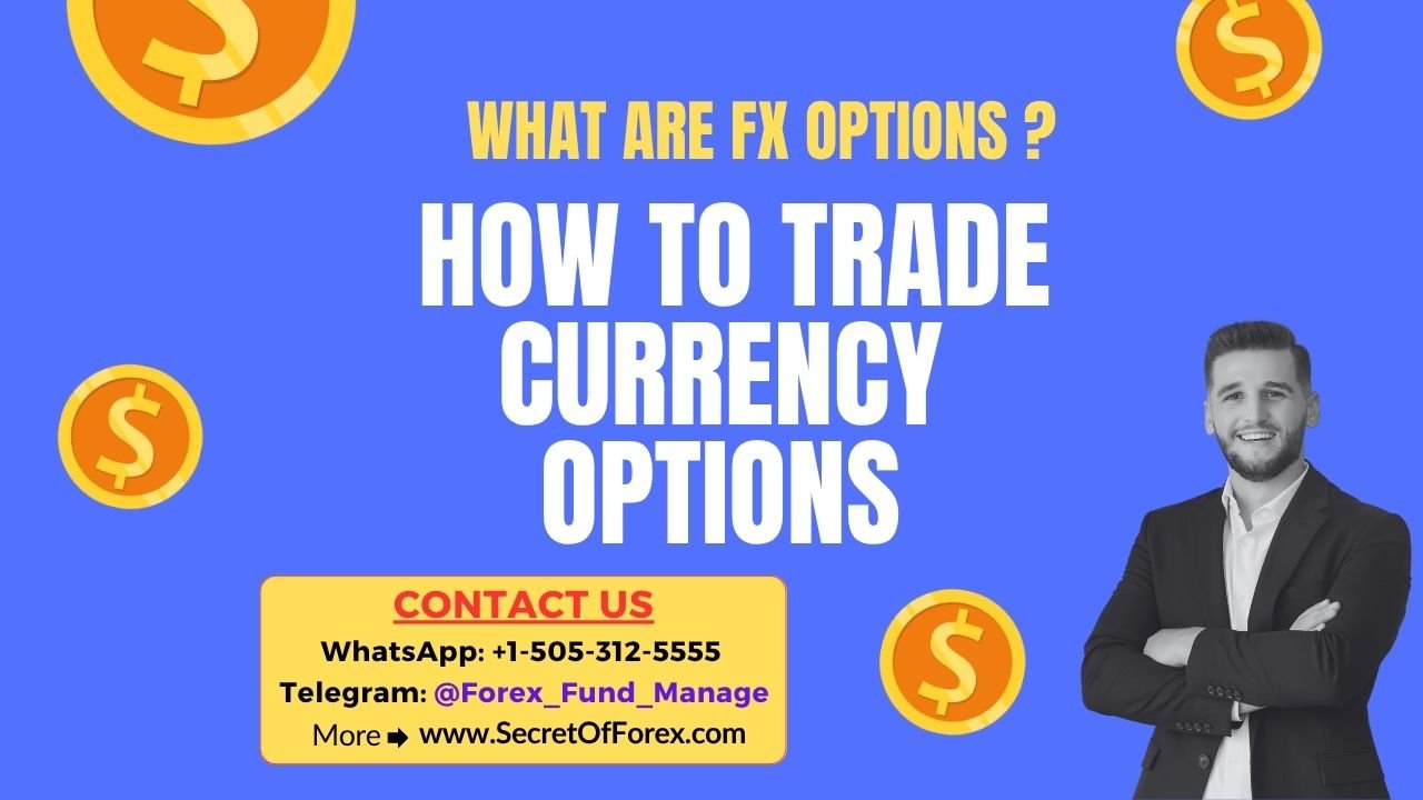 What are FX Options How to Trade Currency Options