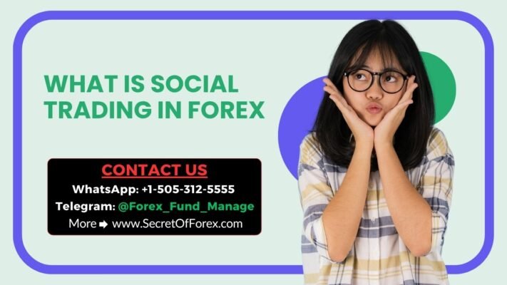 What is Social Trading In Forex