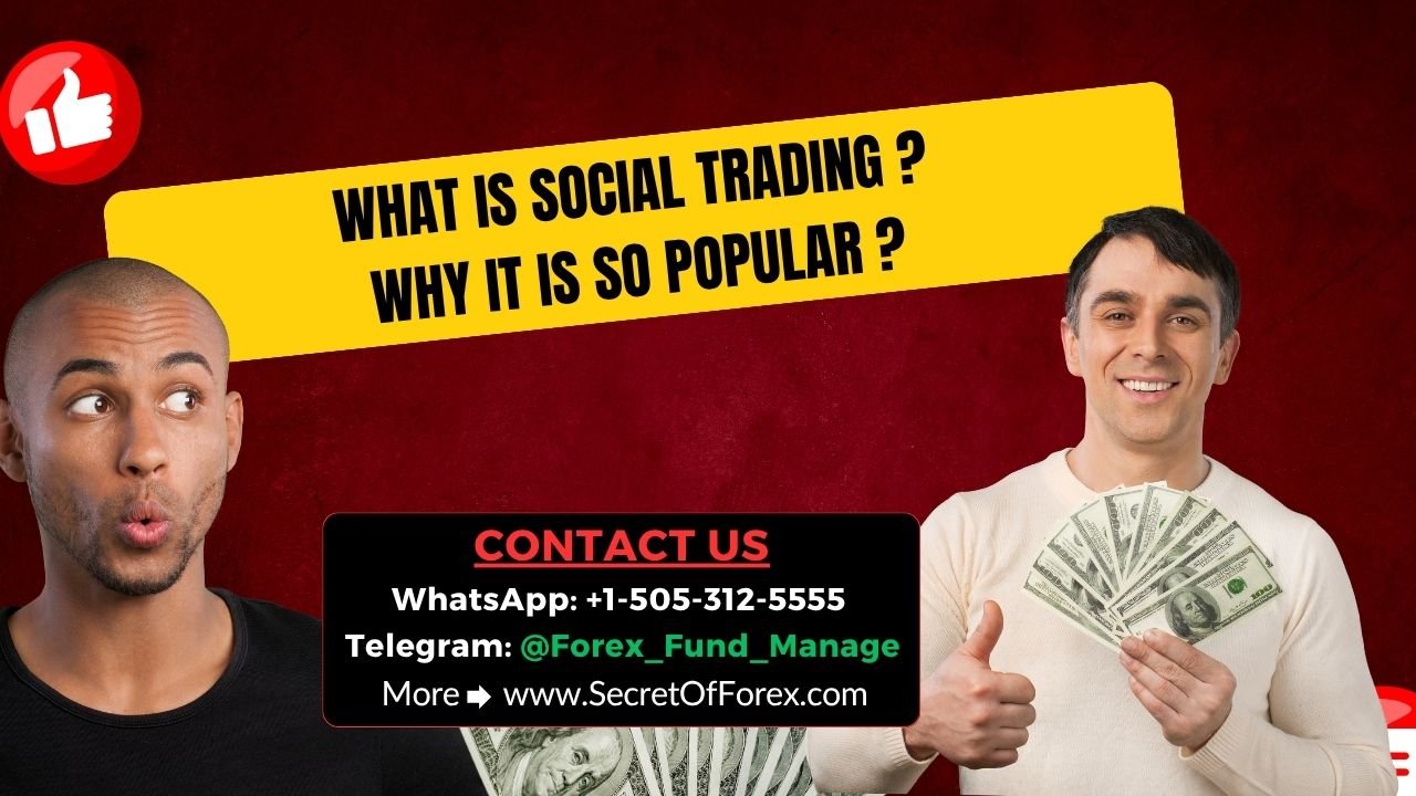 What is Social Trading Why It is So Popular