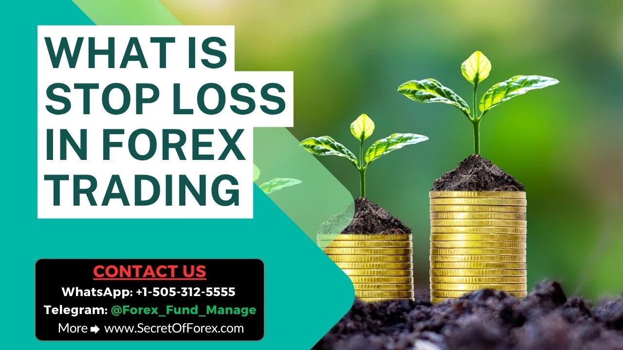What is Stop Loss in Forex Trading