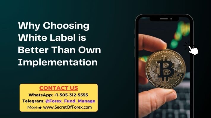 Why Choosing White Label is Better Than Own Implementation