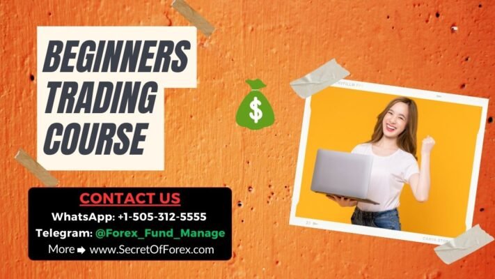 Beginners Trading Course