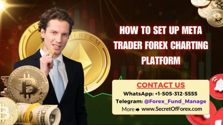 How To Set Up Meta Trader Forex Charting Platform