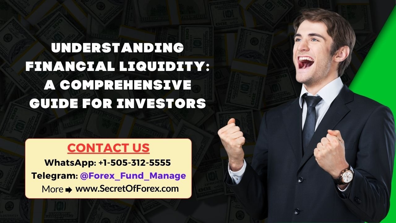 Understanding Financial Liquidity A Comprehensive Guide for Investors