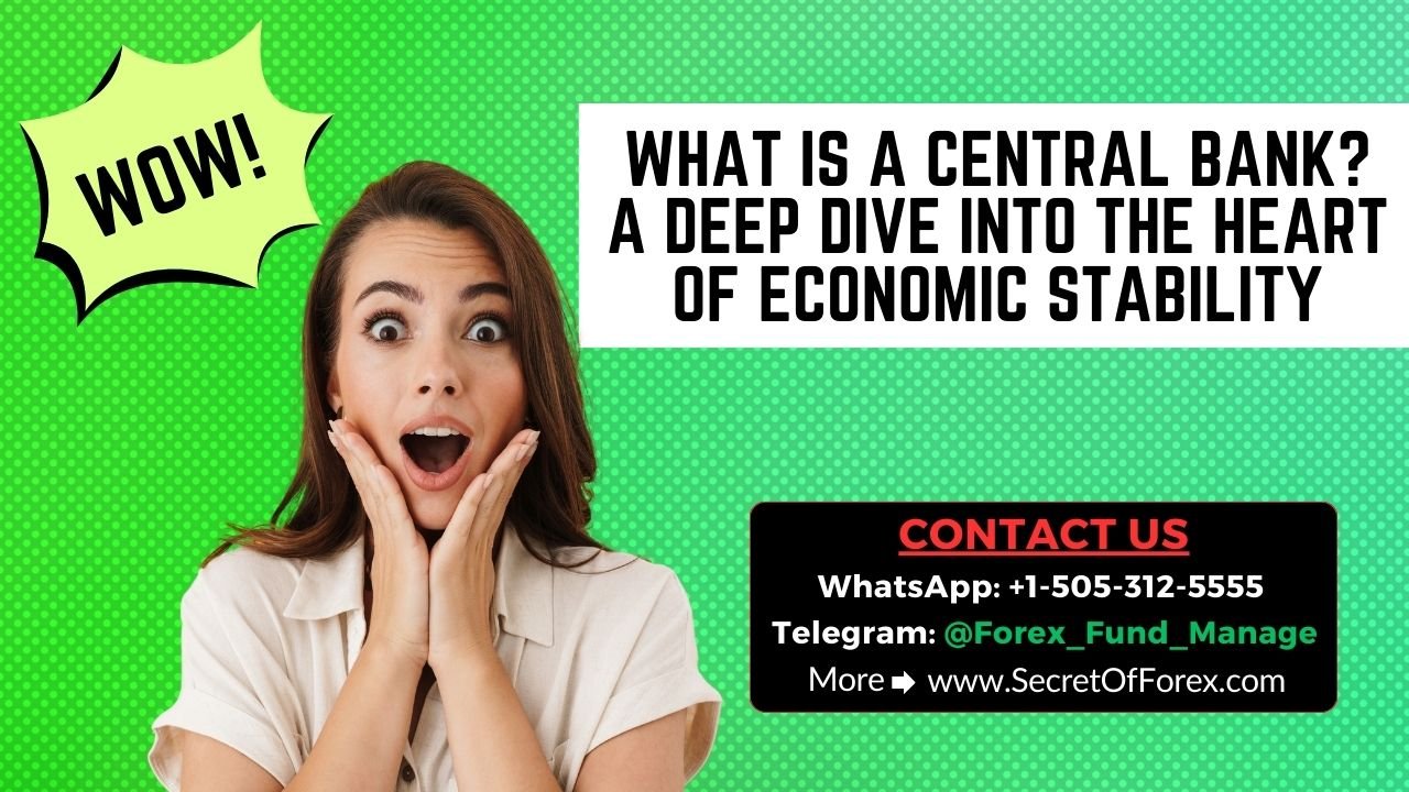 What Is a Central Bank A Deep Dive into the Heart of Economic Stability