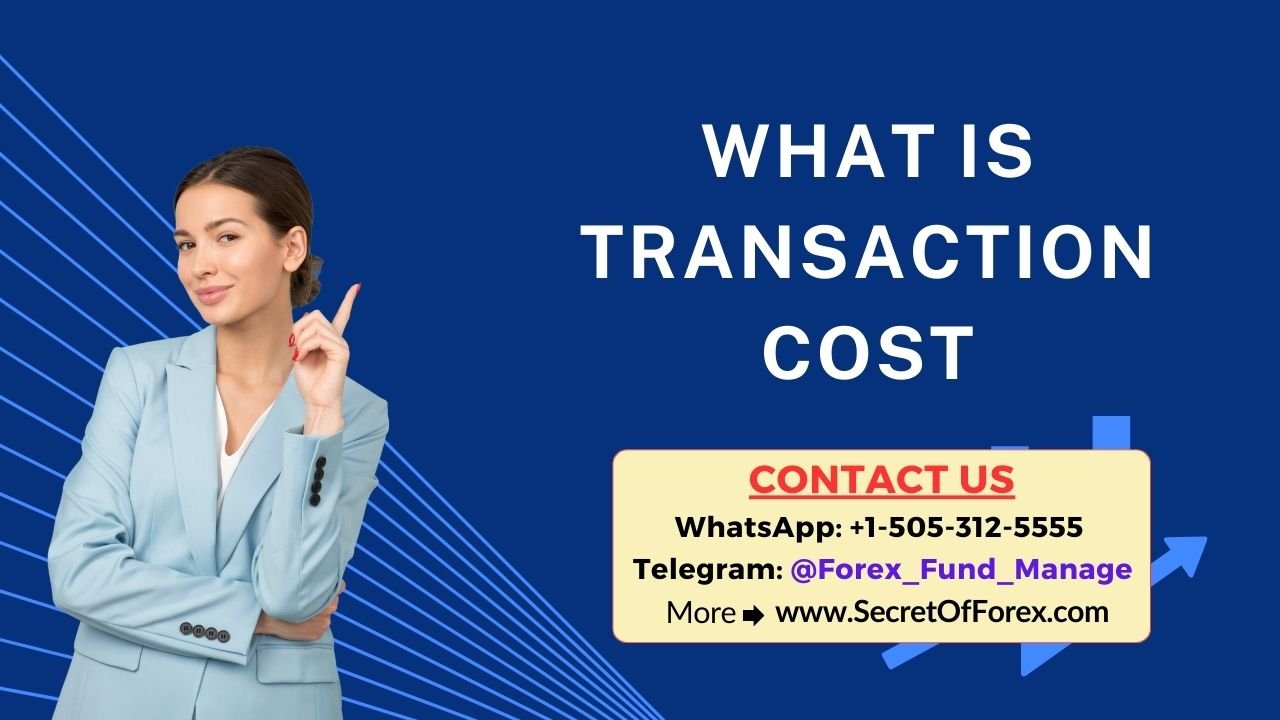 What is Transaction Cost