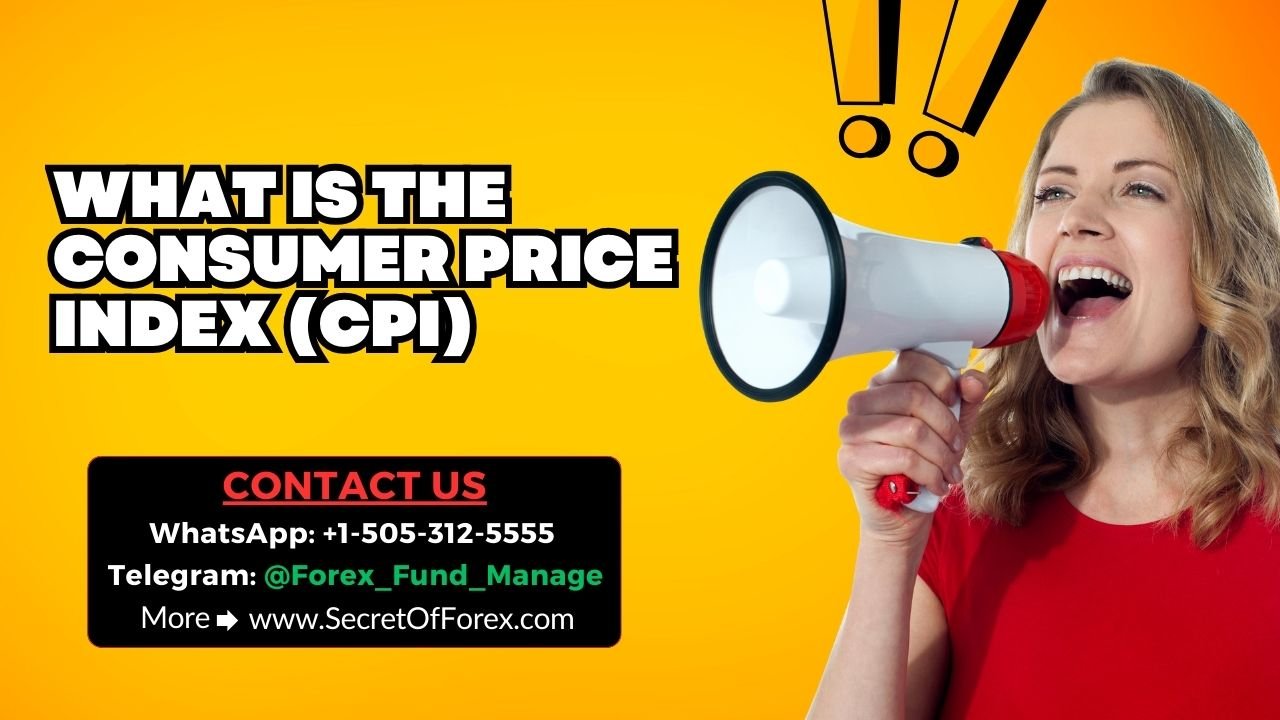 What is the Consumer Price Index (CPI)